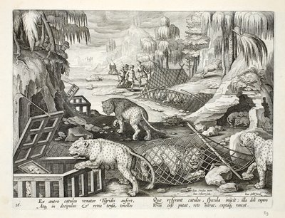 Cattura di leopardi con l